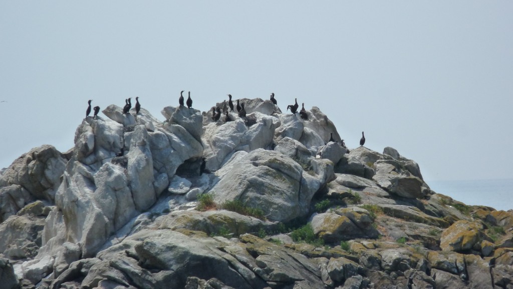 Ile des Glenans3.jpg