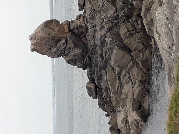 Pointe de la Torche.jpg