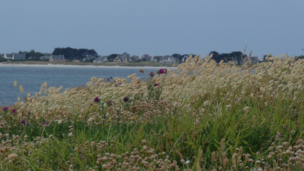 Pointe de la Torche_03.jpg