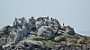 Ile des Glenans3.jpg