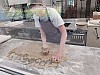 La Biscuiterie5.jpg
